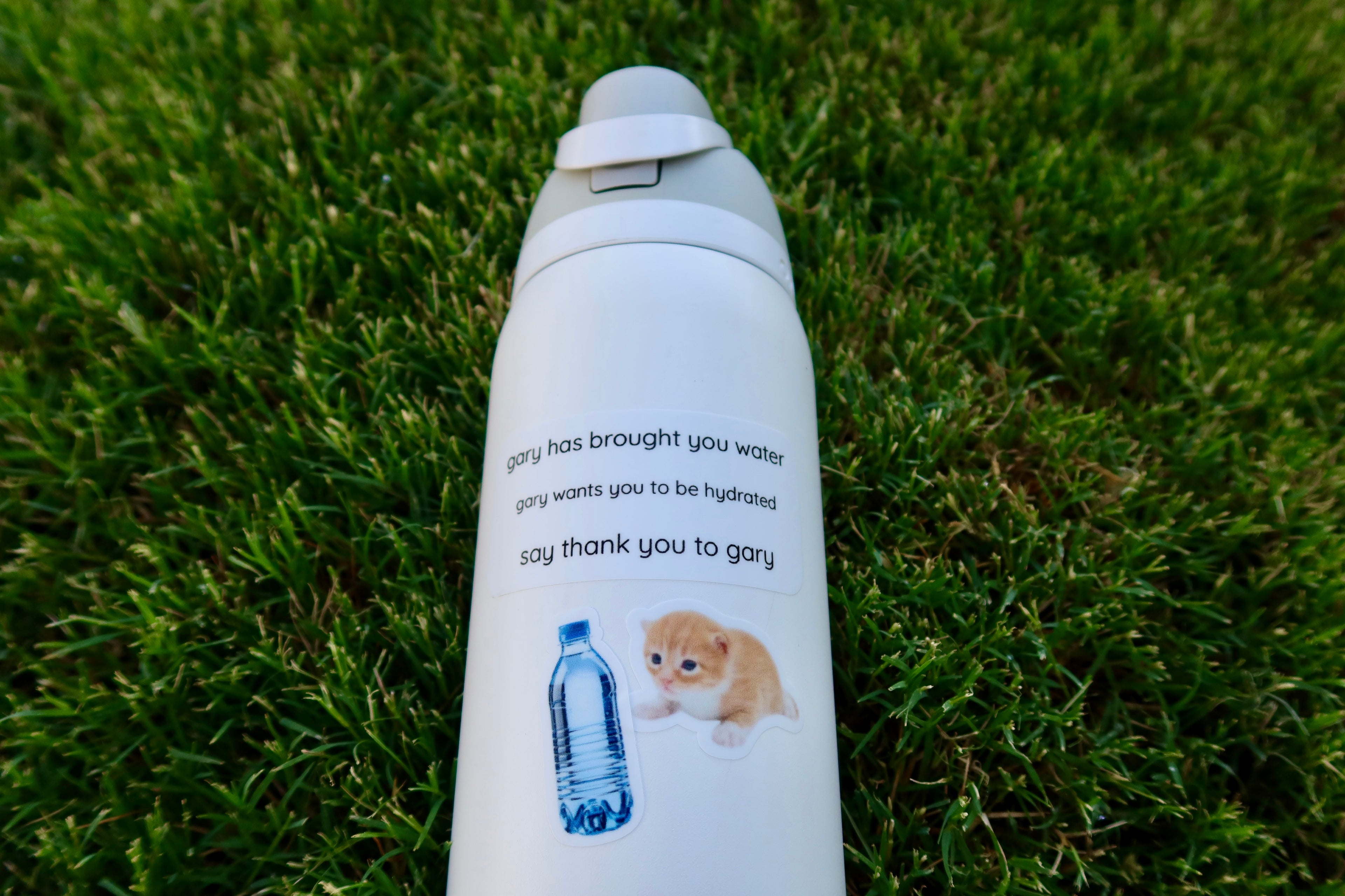 thank you gary sticker sheet - summer