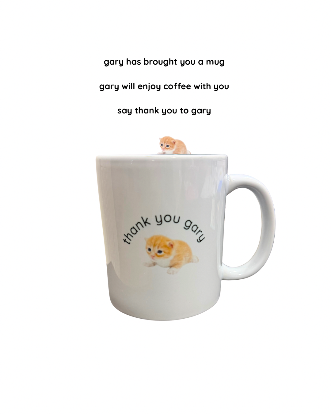 thank you gary mug