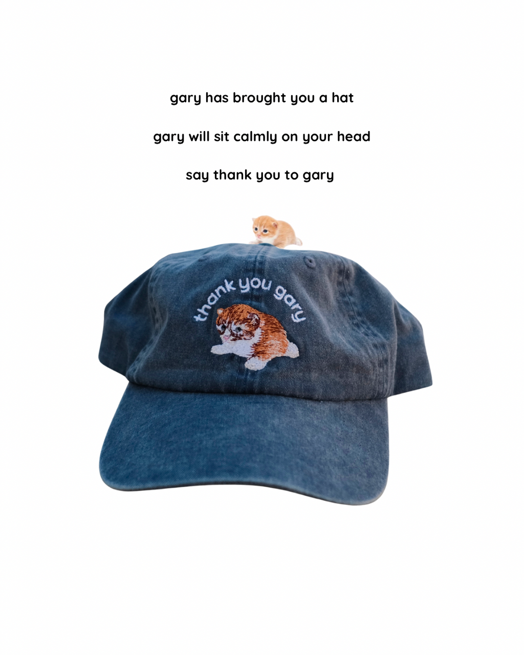 thank you gary hat - v1 (navy)