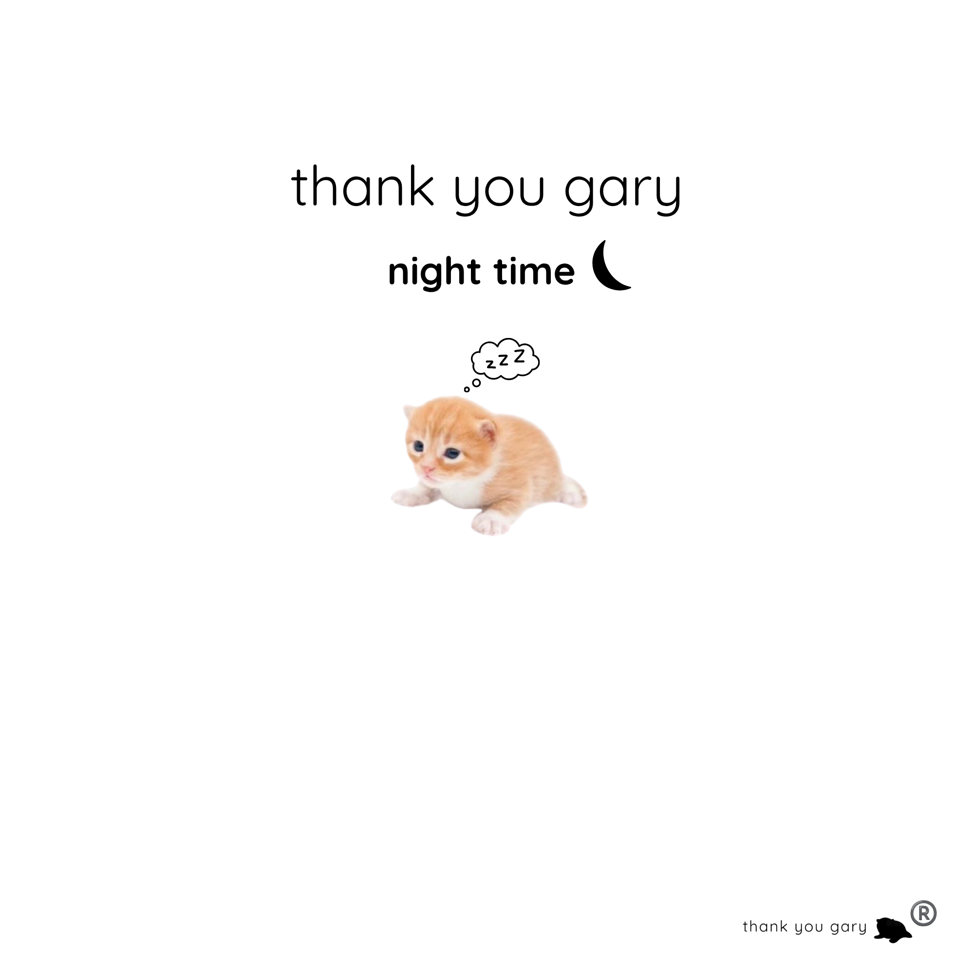 thank you gary night time (e-book)
